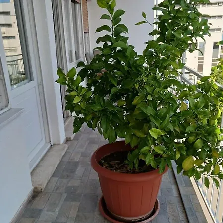 Room With Private Toilet And Terrace In City Center In Shared Apartment Split Exterior photo